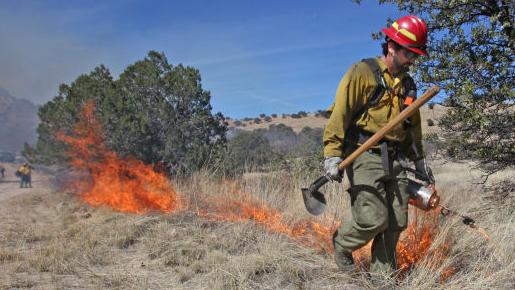 600-acre prescribed burn scheduled for Monday southwest of Tucson